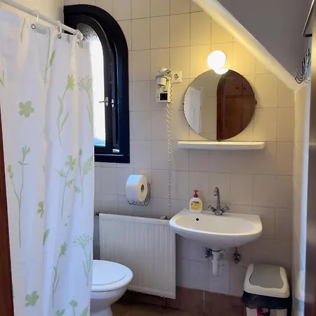 Guest house Pestujhely Panzio-etterem Budapest
