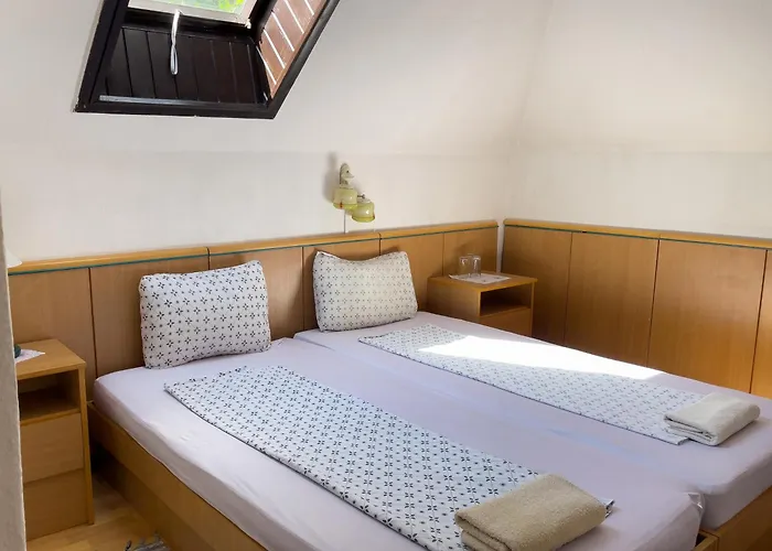 Pestujhely Panzio-etterem Pensiune 3*